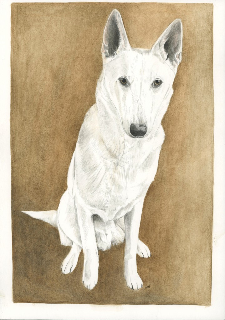 Huisdier schildering A4