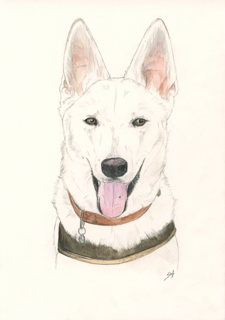 Huisdier schets A5